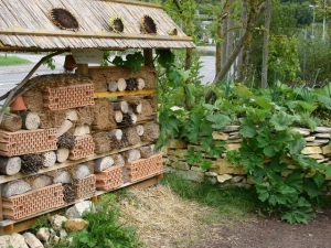 Insektenhotel
