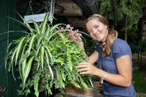 hanging_basket