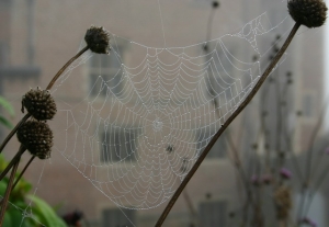 herbststimmung