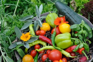 lust_auf_vitamine