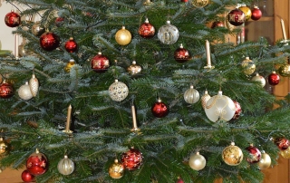 Christbaum