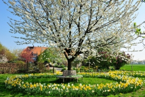 bedburg1