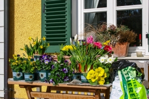 fruehling fenster