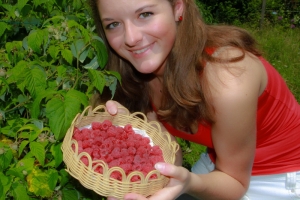 himbeeren q
