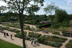 rosenboulevard