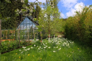 fruehling garten