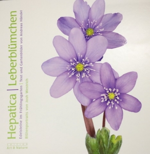 buch leberblümchen