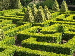buchs
