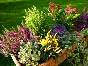 Herbstkisterl640x480