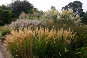 herbststimmung graesergarten