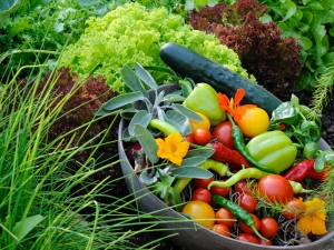 Fruchtige Gartenfreuden im Sommer