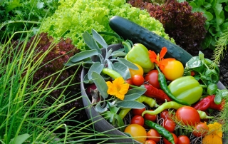 Fruchtige Gartenfreuden im Sommer