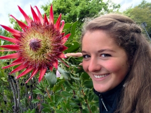 Karoline und die Koenigsprotea