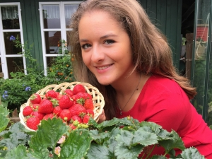 erdbeeren jetzt pflanzen800