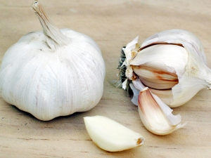 knoblauch800