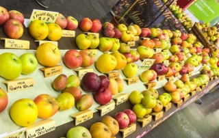 Obst