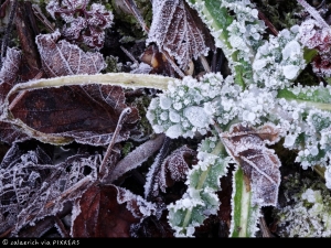 Siegerbild Winterchallenge