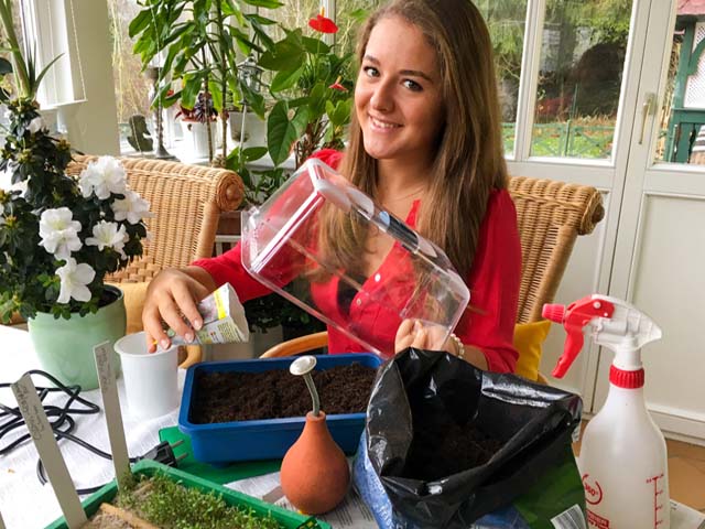 Aussaat - mit Zimmergew&auml;chshaus gelingt alles