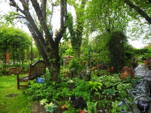 Natur im Garten in Lutzmannsburg