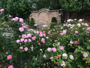 Rosen