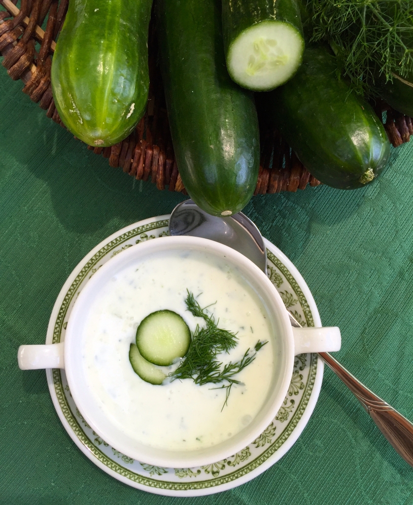 Erfrischende Gurkensuppe - Biogärtner