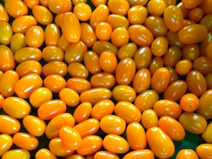 Gelbe Cocktailtomaten