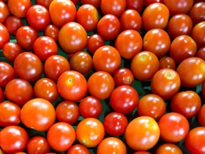 Rote Cocktailtomaten