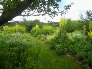 Der Garten von Romana Seunig