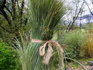 Zusammengebundene Gräser