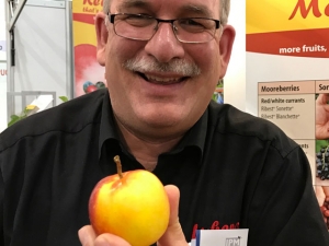 Der verbotene Apfel