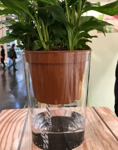 Ein Doch als bequemer Wasserspender
