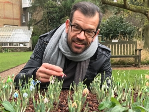Bunte Finger vom bunten Schneeglöckchen