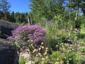 Einzigartiger Garten in Schweden von Peter Korn