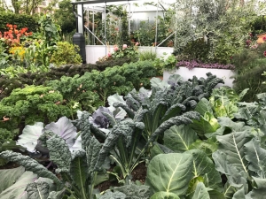 Chelsea Flower Show 2017