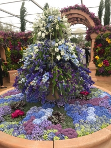 Chelsea Flower Show 2017