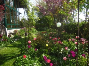 „Natur im Garten“ bei Magdalena Brückl in Sattledt
