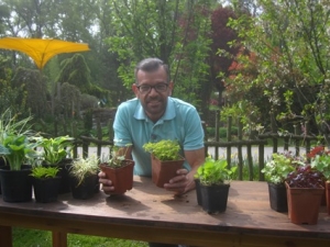 „Natur im Garten“ bei Magdalena Brückl in Sattledt