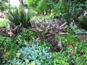 Wurzelstockgarten