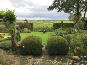 Garten in Ostfriesland