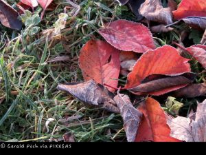 Siegerbild "Herbstchallenge 2017" (Bild: Gerald Pöch)
