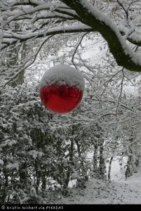 Siegerbild "Weihnachtlicher Gartenzauber"