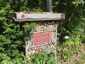 Natur im Garten