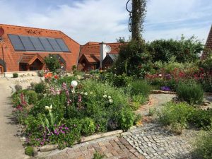 Natur im Garten