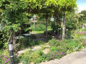 Natur im Garten