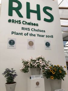 Chelsea Flower Show 2018