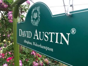 Chelsea Flower Show 2018