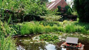 Garten in Ostfriesland