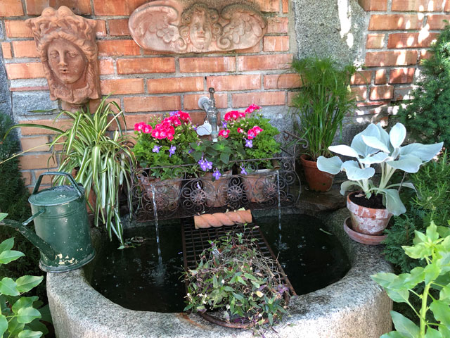 Wasser Marsch Biogartner
