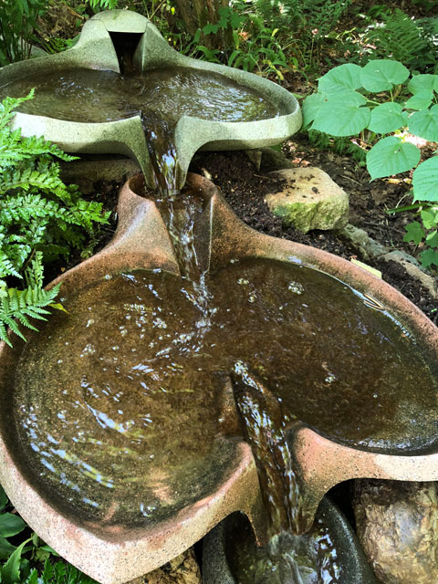 Wasser Marsch Biogartner