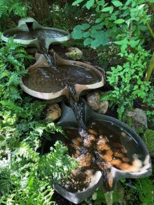 Wasserschale